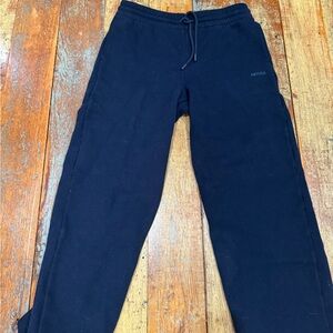 Aritzia Joggers